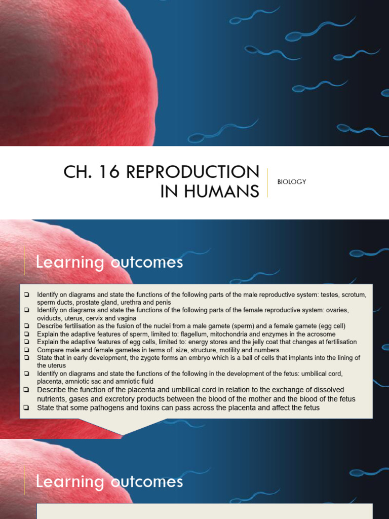 #2 BIO-Chapter (16. 3-7) Reproduction in Humans Student - pptx-1 | PDF ...