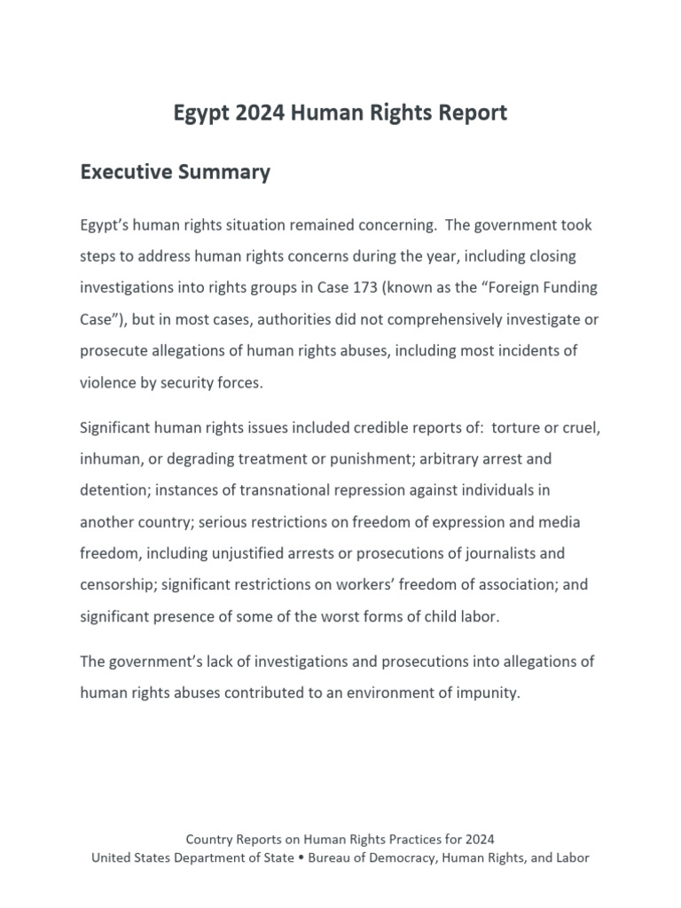 Egypt 2024 Human Rights Report | PDF | Torture | Occupational Safety ...