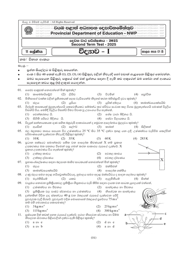 Grade 11 - Science | PDF