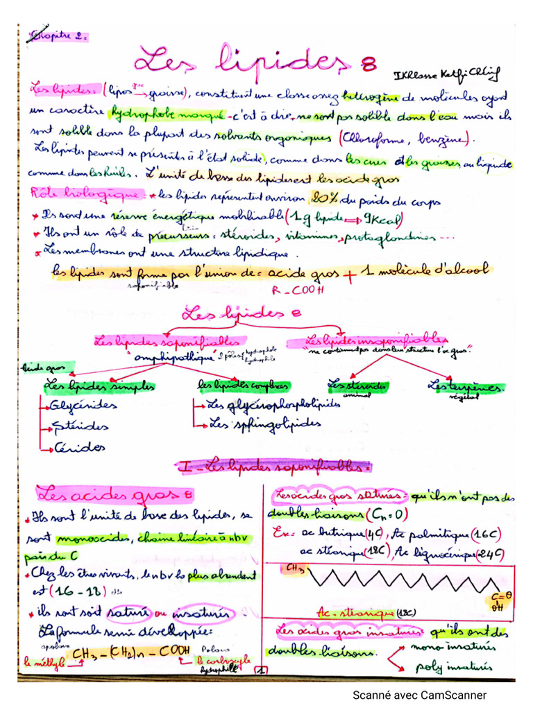 2 Les Lipides | PDF