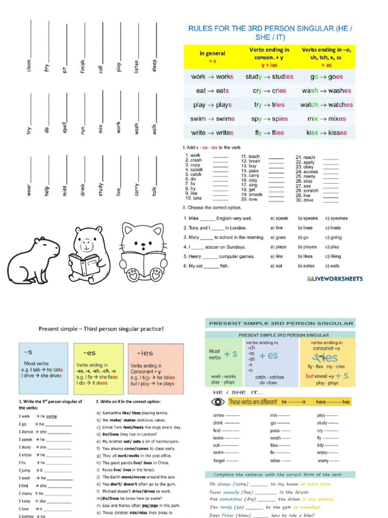 3rd Person Simple Present - 20260131 - 081731 - 0000 | PDF