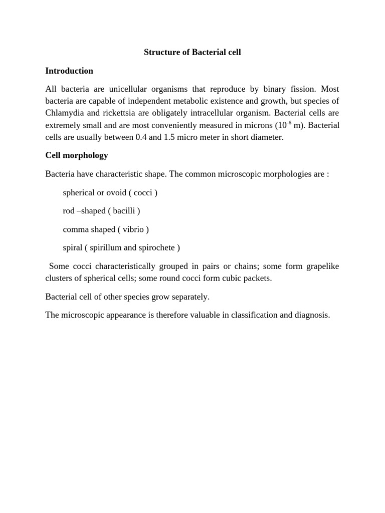 Structure of Bacterial Cell | PDF | Cell Membrane | Bacteria
