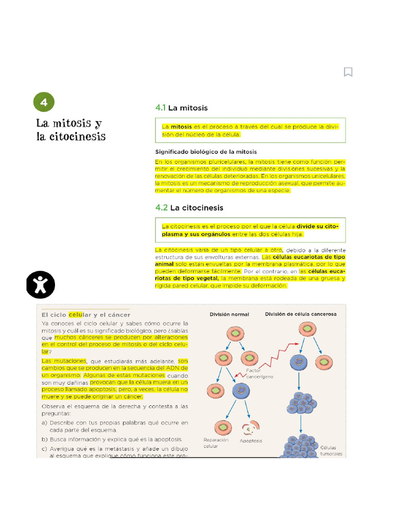 Unidad 2. 4º Eso. Subrayada | PDF