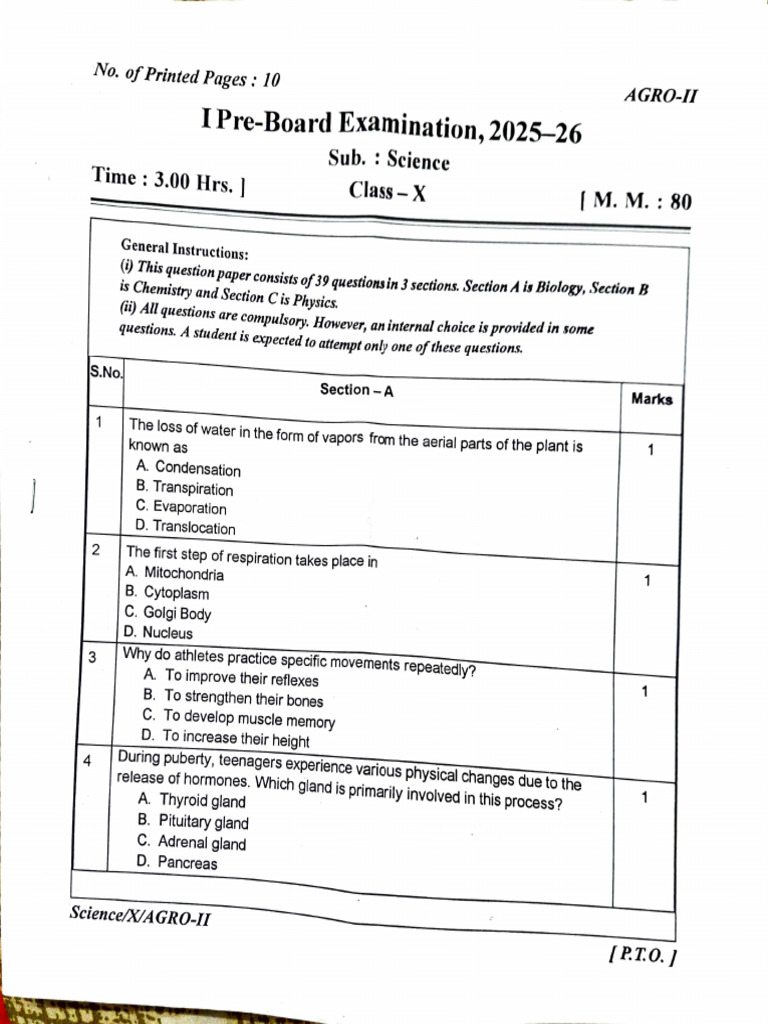 PB1 | PDF