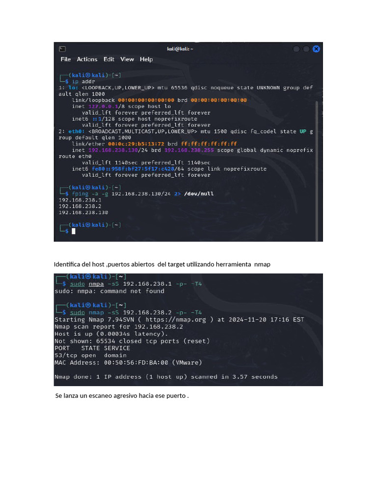 Identifica Del Host | PDF