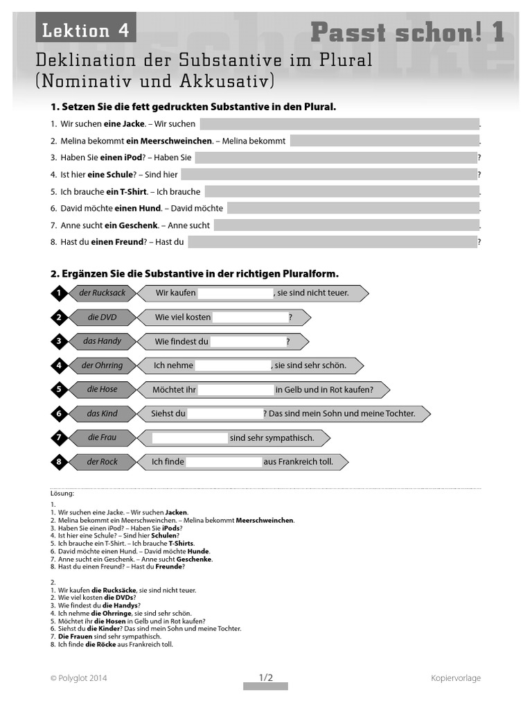 Deklination Der Substantive Im Plural Nominativ Und Akkusativ | PDF