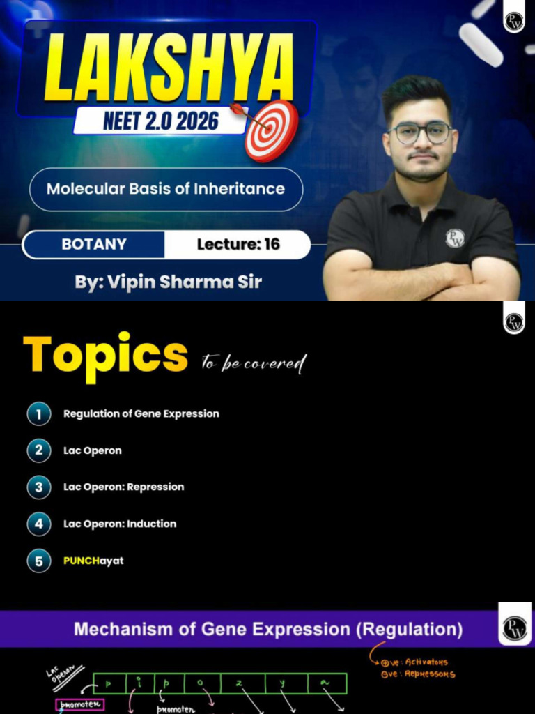 Molecular Basis of Inheritance 16 Class Notes | PDF