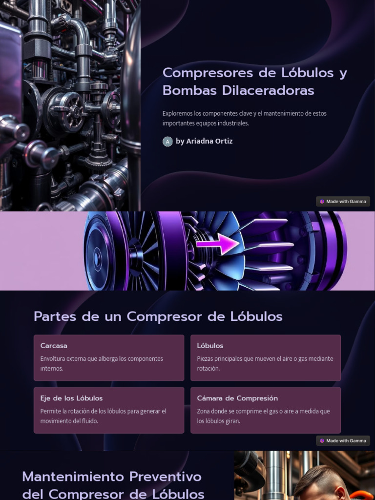compresores-de-lobulos-y-bombas-dilaceradoras-pdf-rodamiento