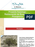 Proyecto huarango-A Rocha Perù