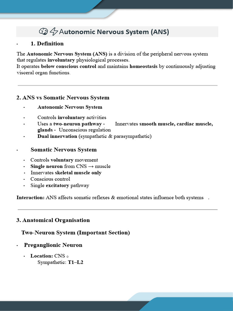 Summary of Lecture Four | PDF | Autonomic Nervous System | Acetylcholine