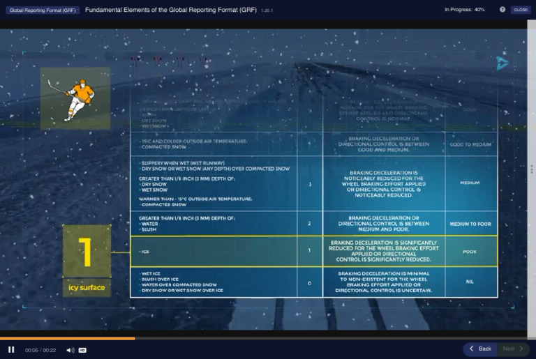 Global Reporting Format (GRF) - Scandlearn Learner | PDF