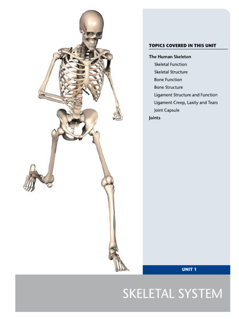 Corrective Exercise Unit 1 | PDF