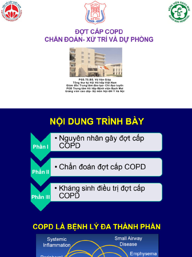 3-dot-cap-copd-chan-doan-va-xu-tri_1600_pdf.gdrive.vip | PDF