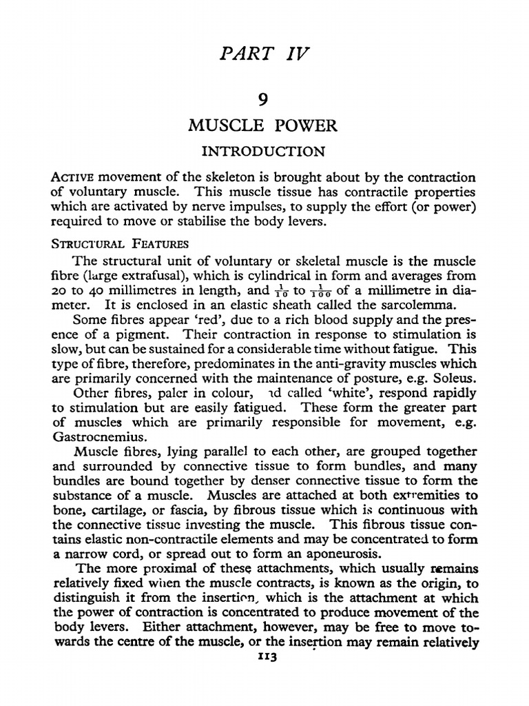 Muscle Strength and Muscle Action | PDF