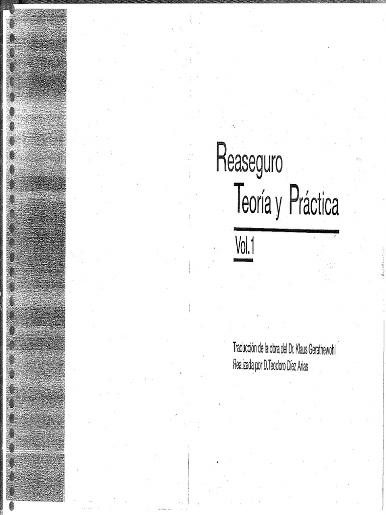 Reaseguro Teoria y Practica (Aleman) | PDF