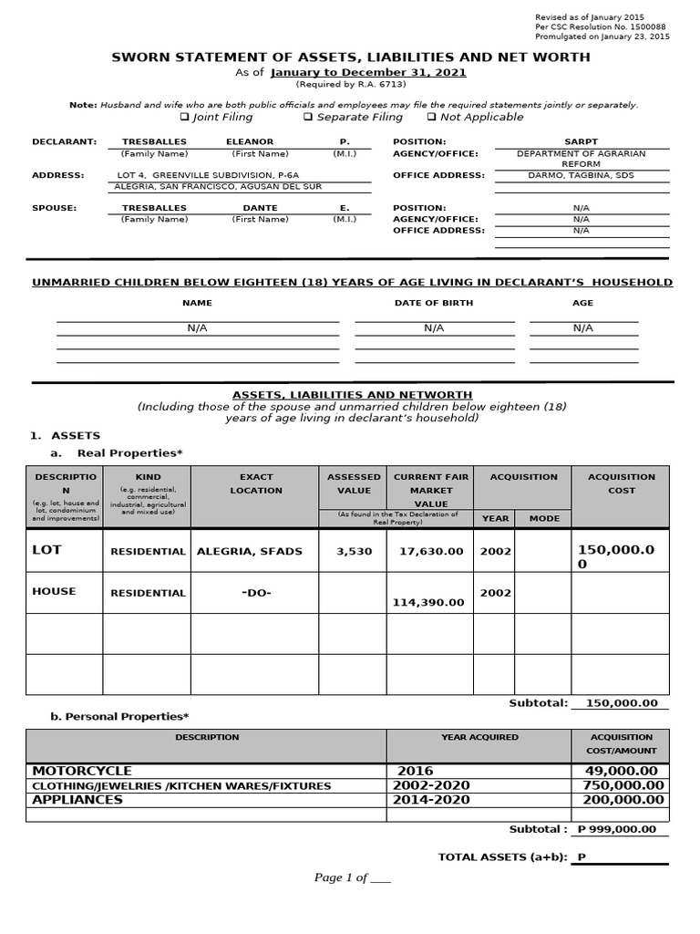 2020 SALN Form Neng | PDF | Government
