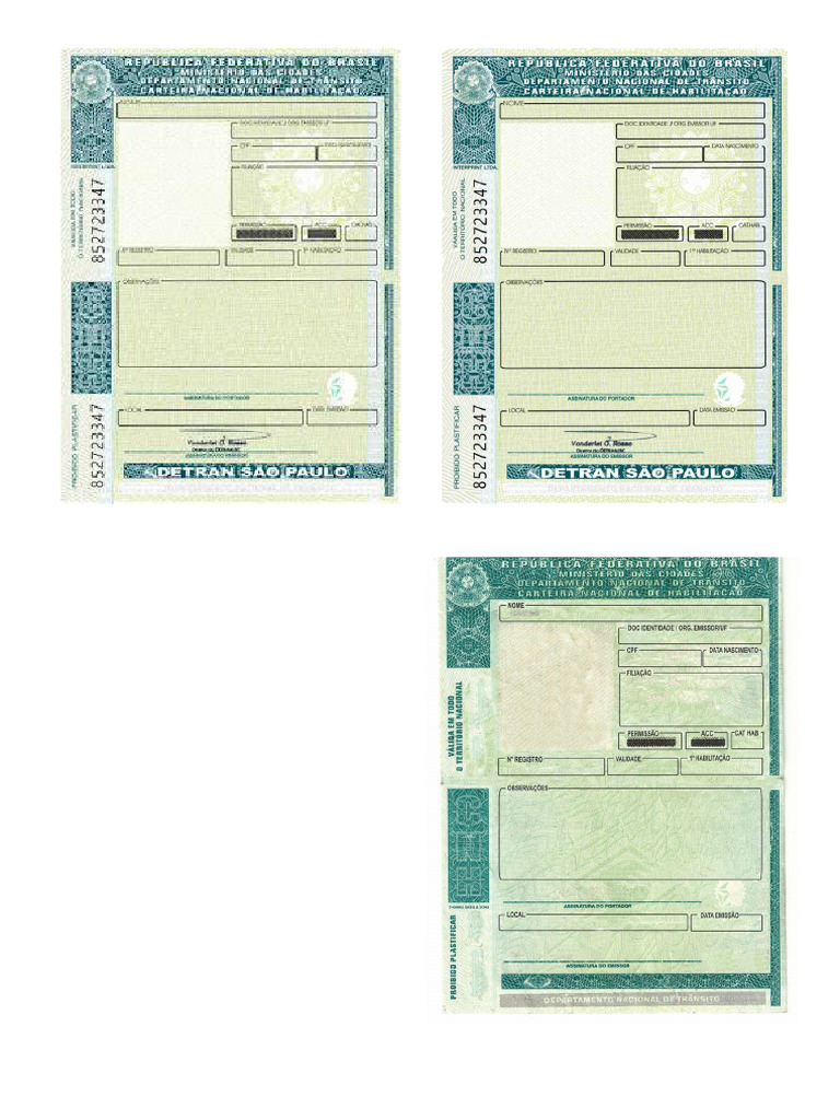 Modelo CNH Editável | PDF