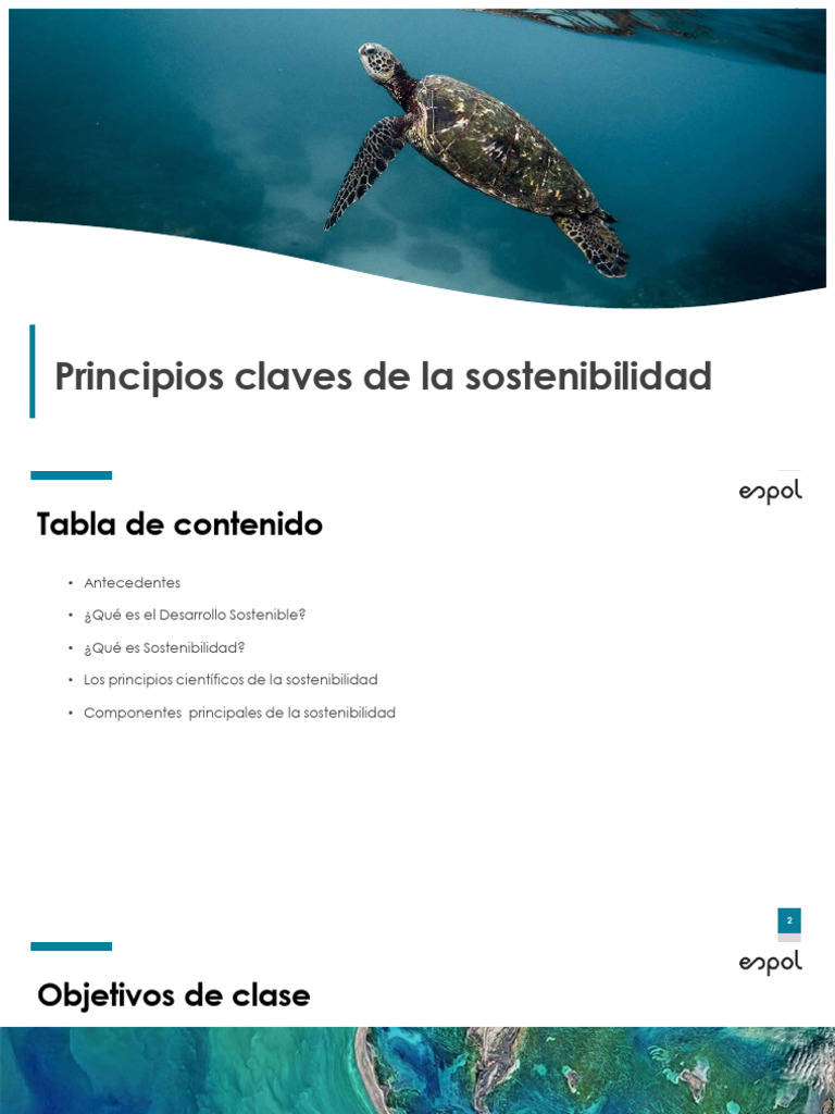 1.1 Principios Claves de La Sostenibilidad | PDF | Sustentabilidad ...