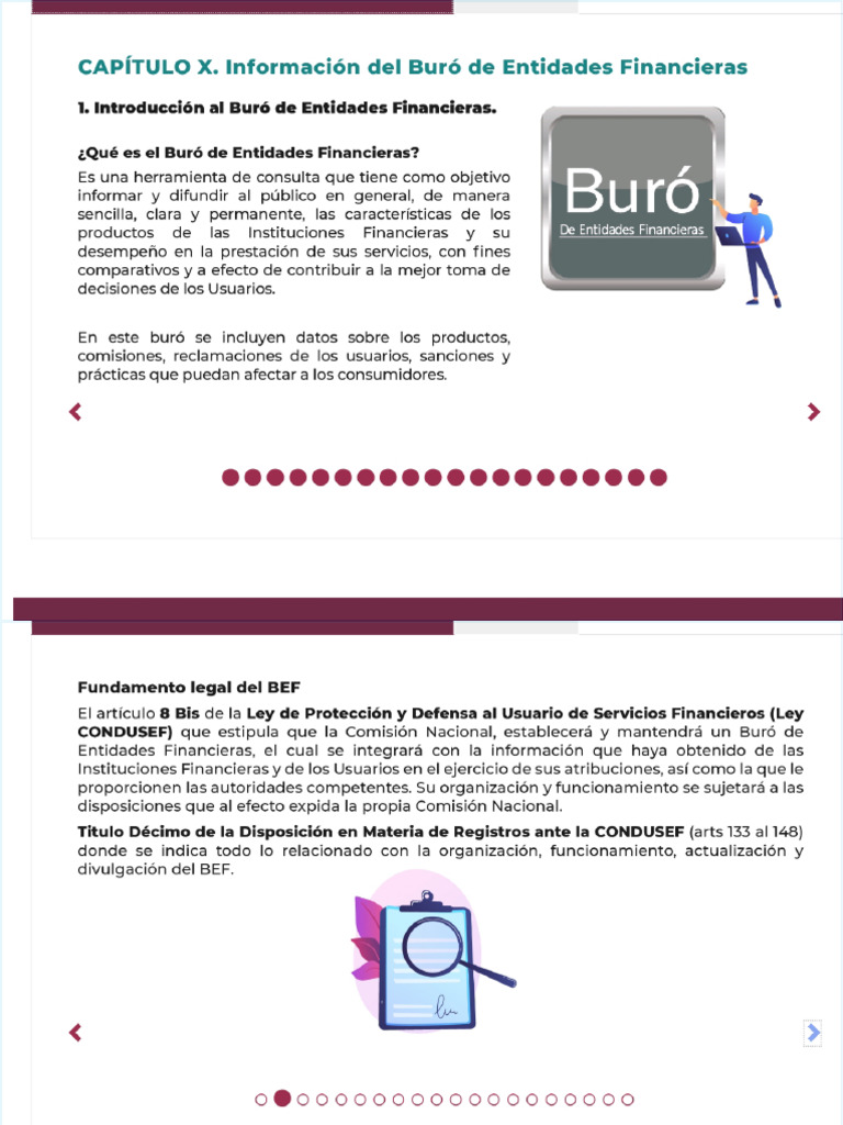 Buro de Entidades Financieras | PDF