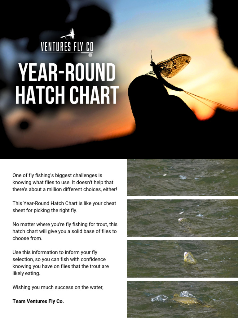 Year-Round Hatch Chart V1.0 | PDF | Fly Fishing | Zoology