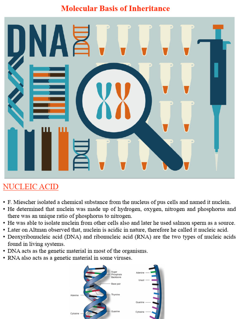 Molecular Biology Mathematics Formula.. | PDF | Genetic Code | Nucleic ...