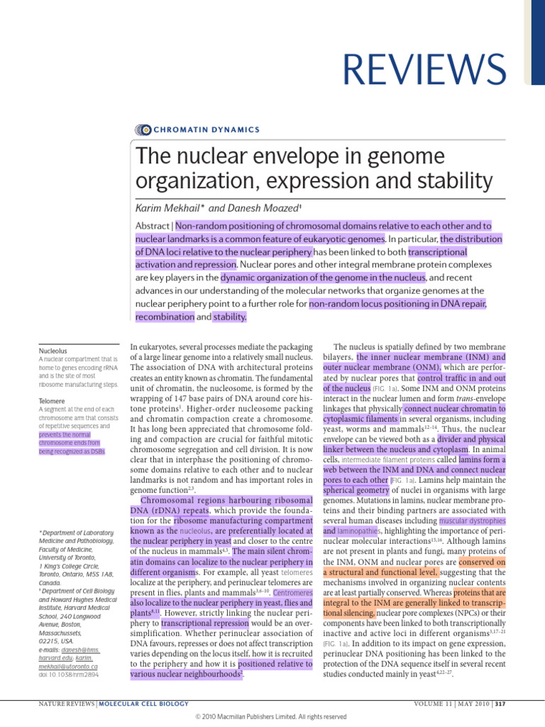 Mikhail Et Al., Nuclear Envelope | PDF | Cell Nucleus | Ribosomal Dna