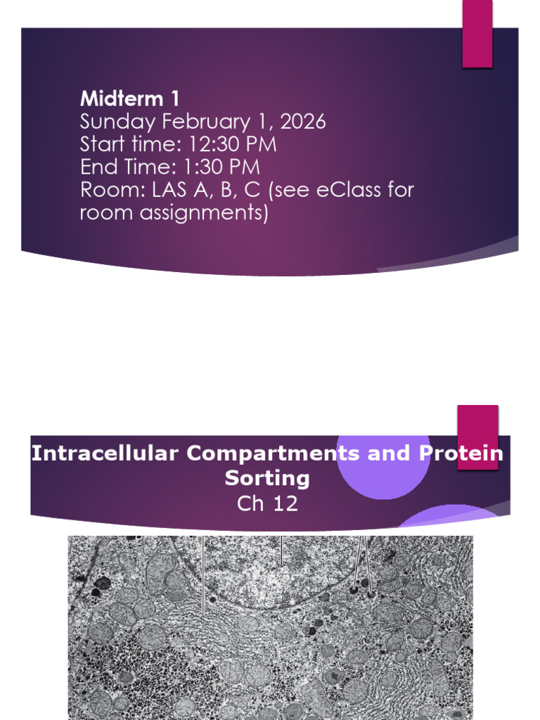 Chapter 12 - Protein Sorting Part 1 | PDF | Endoplasmic Reticulum ...
