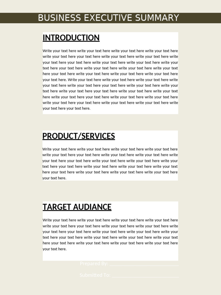 Executive Summary Template 08 | PDF