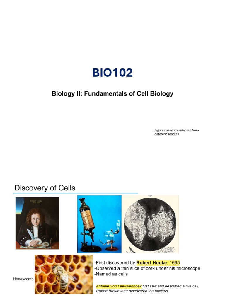 Cell biology 1 | PDF | Cell (Biology) | Biochemistry