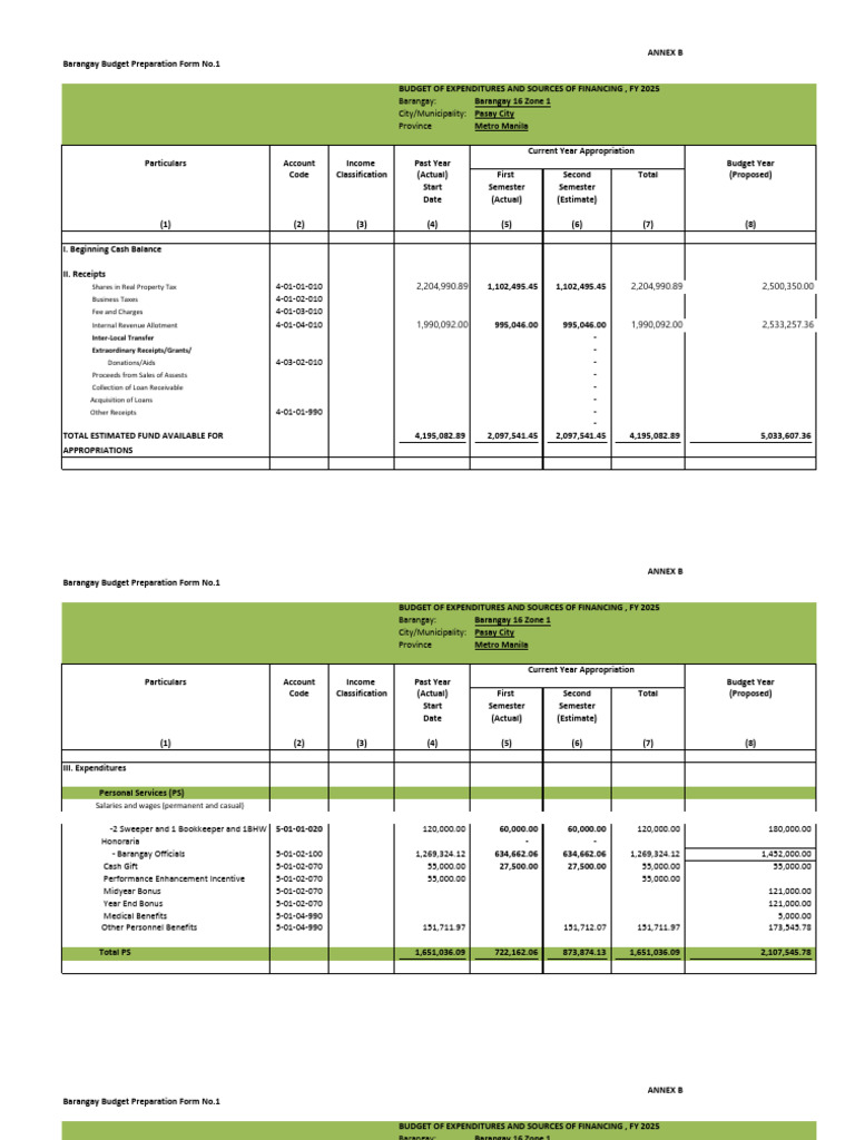 BBP FORM NO.1 BUDGET OF EXPENDITURES AND SOURCES OF FINANCING FY 2025 ...