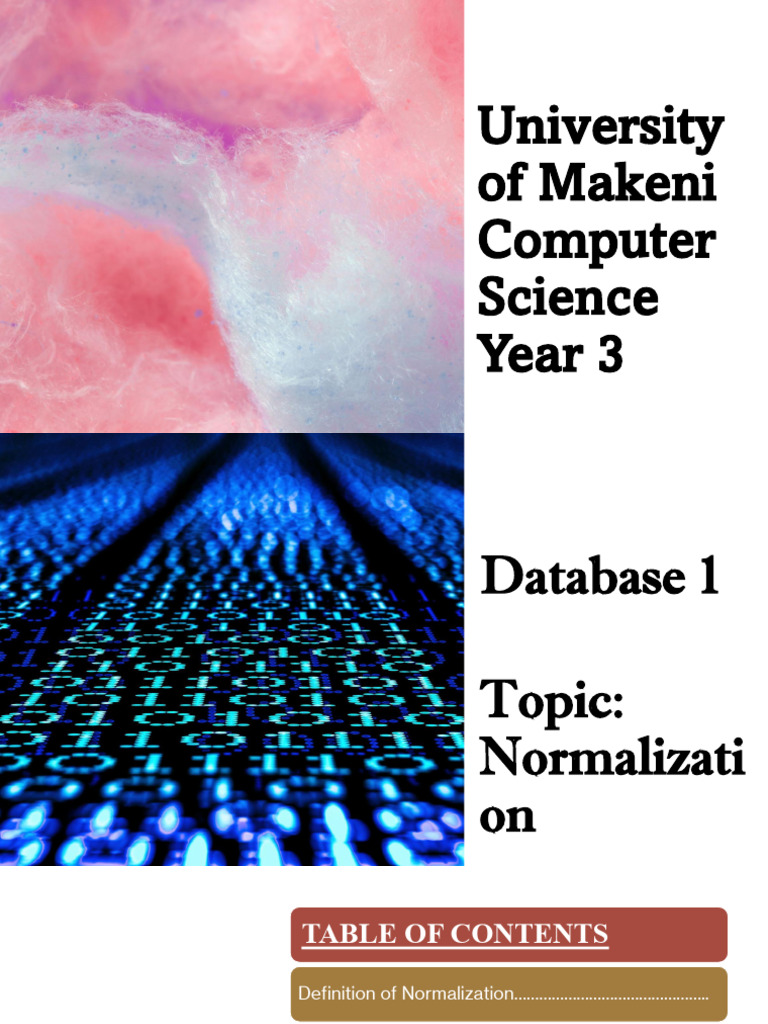 Database 1 Assignment Project (Group 9) | PDF | Information Science ...