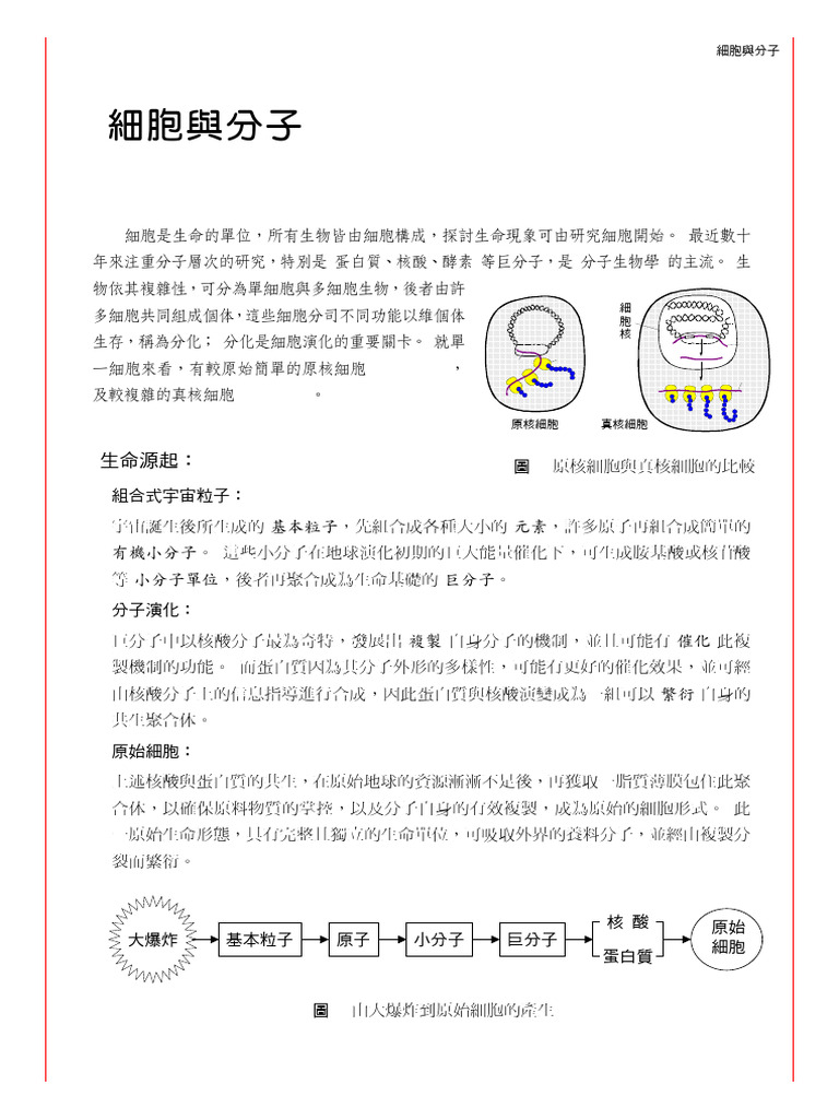 B11 Cell | PDF