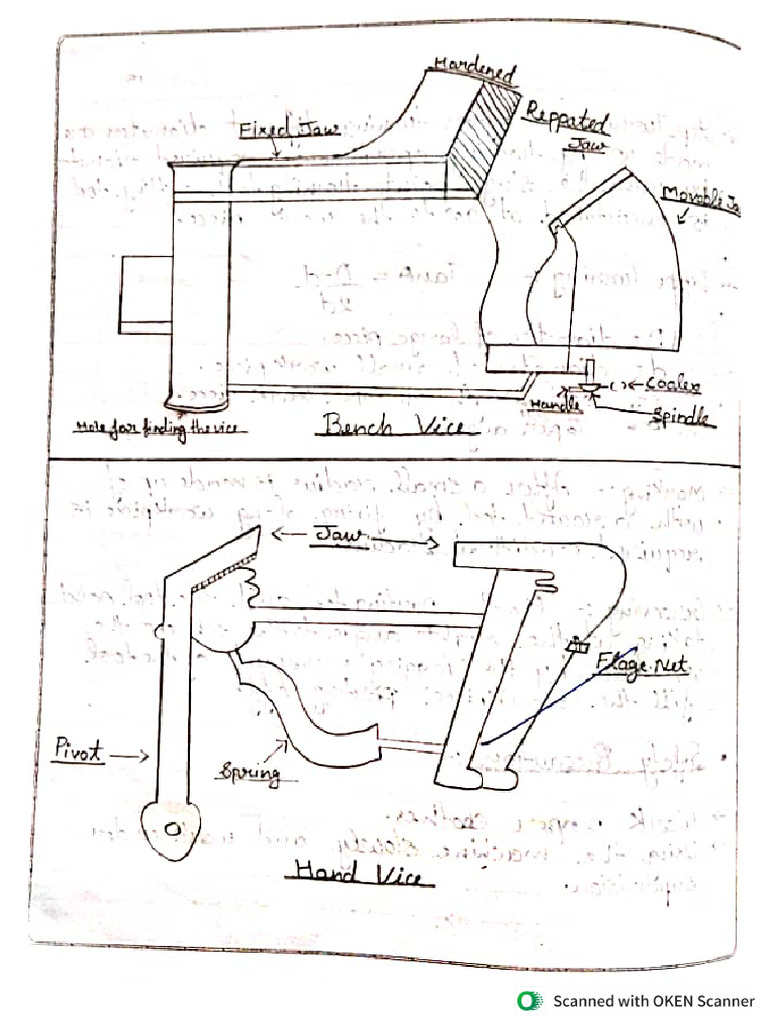 Experiments | PDF