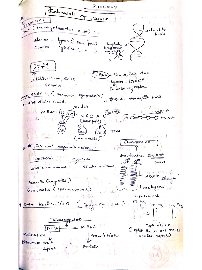 General Science and Technology | PDF