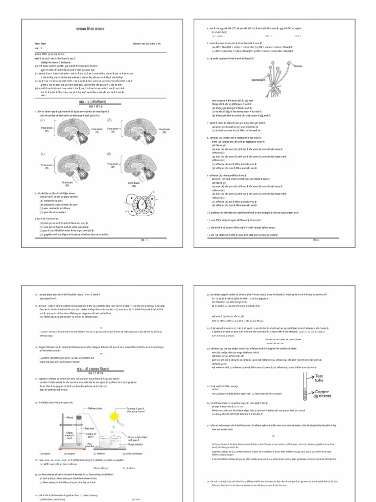 Grand Test | PDF