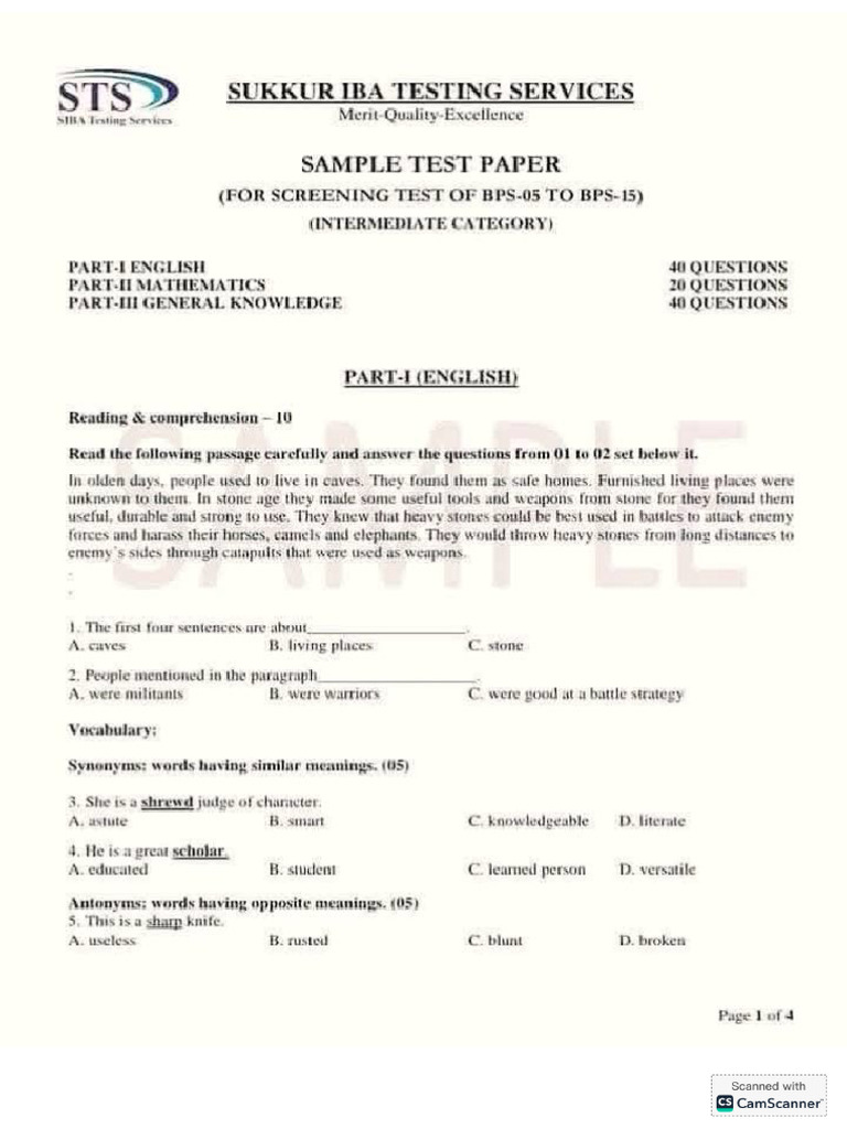 Sample Paper Intermediate Category | PDF