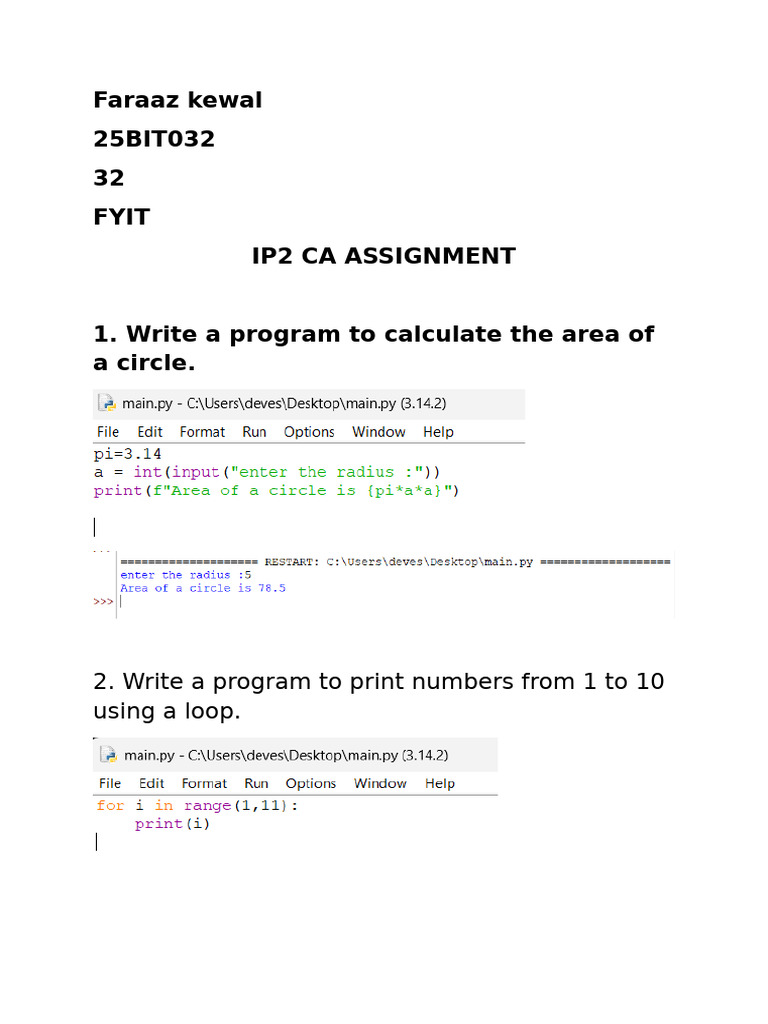 IP2 CA Assignment | PDF