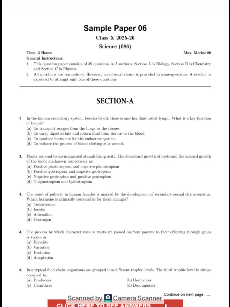 Sample Paper 6 | PDF