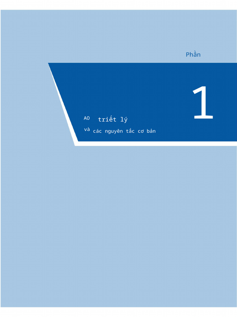 AO Philosophy and Basic Principles | PDF