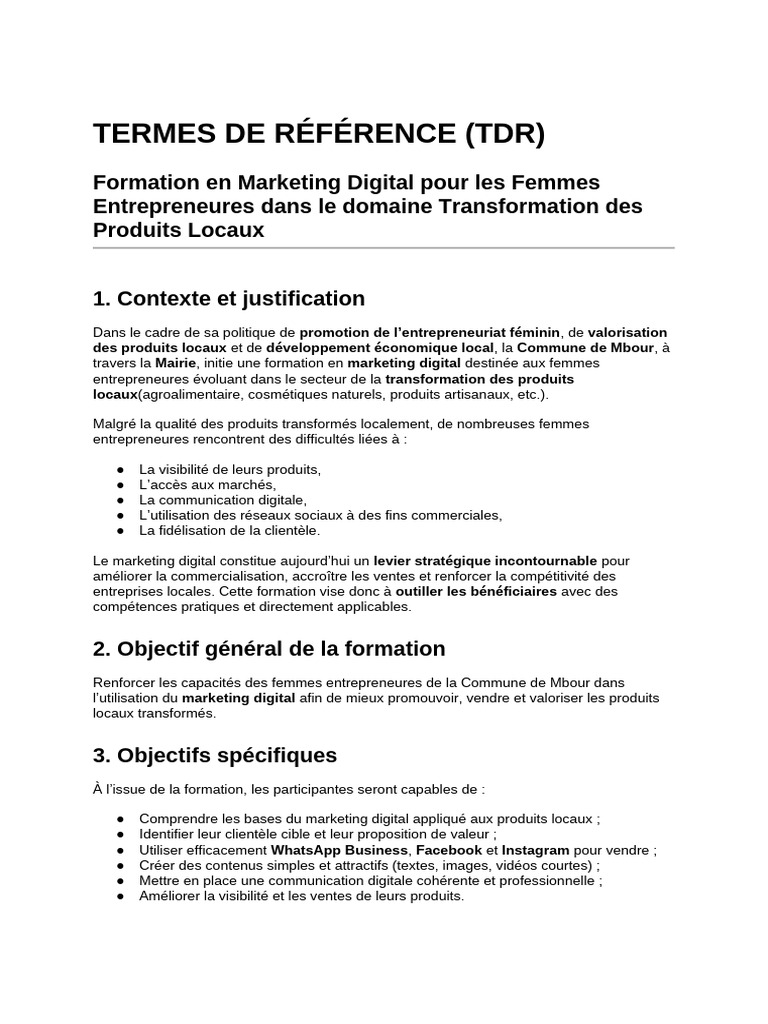 TDR Formation Marketing Digital | PDF | Commercialisation