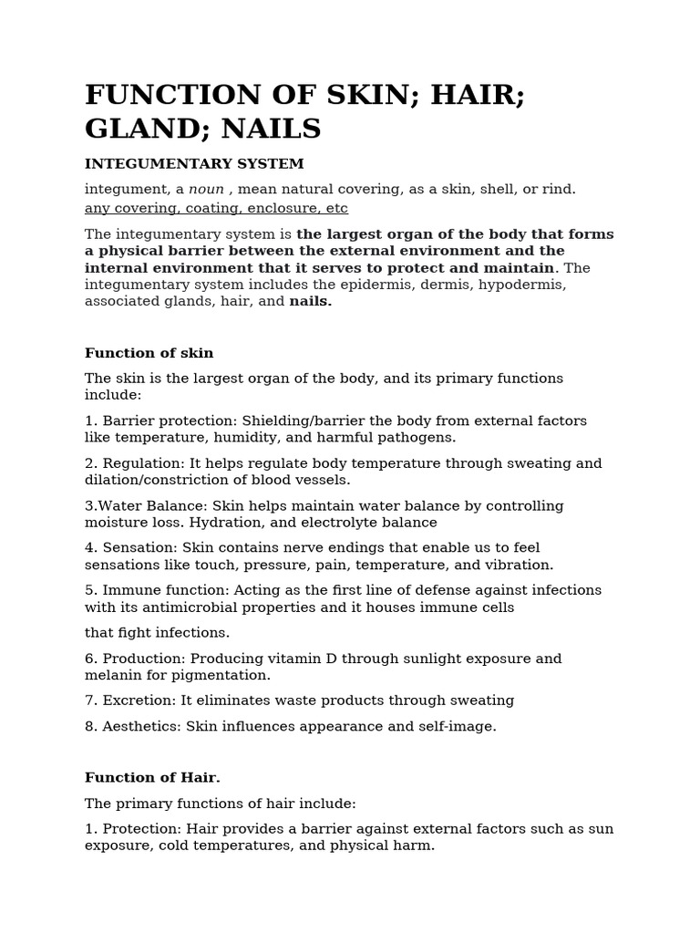 Function of Skin Hair Glands Nails | PDF | Integumentary System | Skin