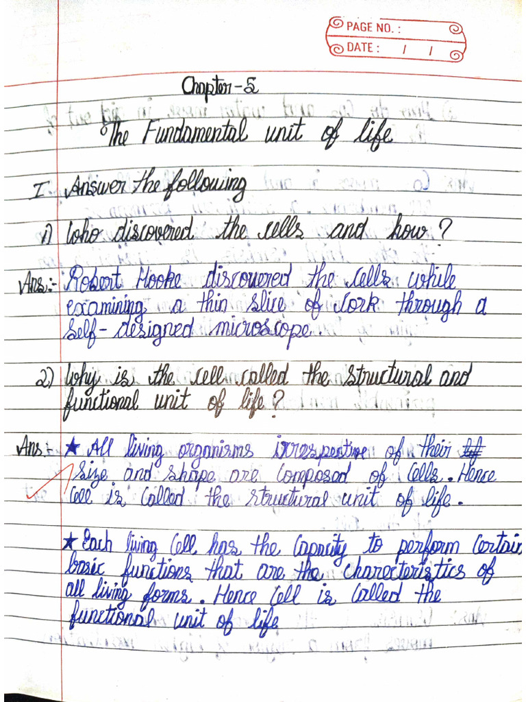 Bio CW Class 9 | PDF