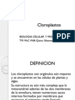 6. Clase Cloroplastos
