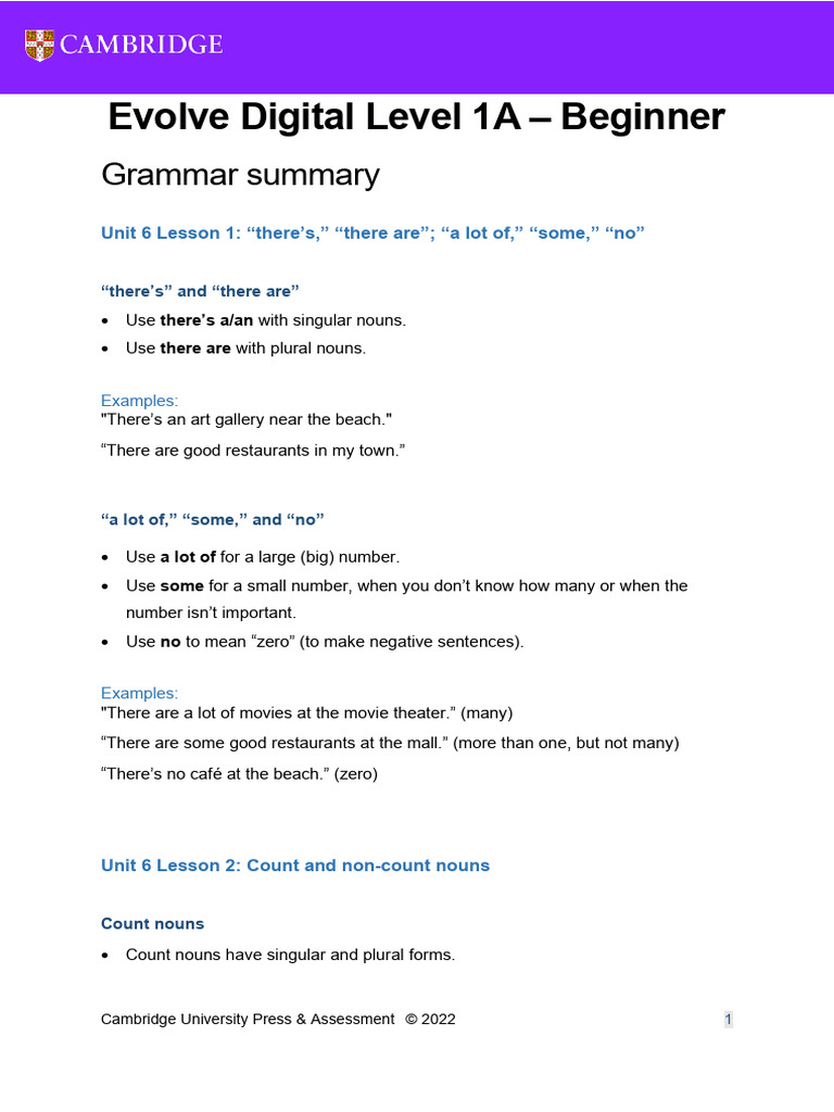 Unit 6 - BG - Grammar | PDF