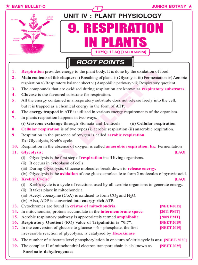 9 Respiration in Plants | PDF | Cellular Respiration | Glycolysis