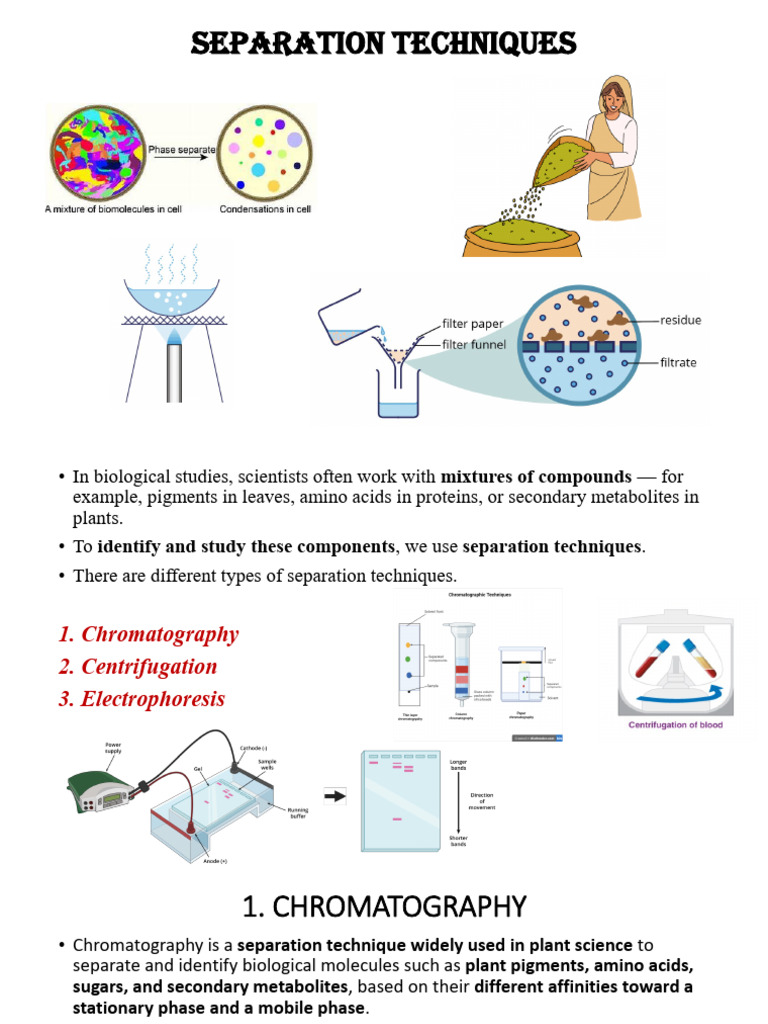 Separation Technique in Biology and Its Application | PDF ...