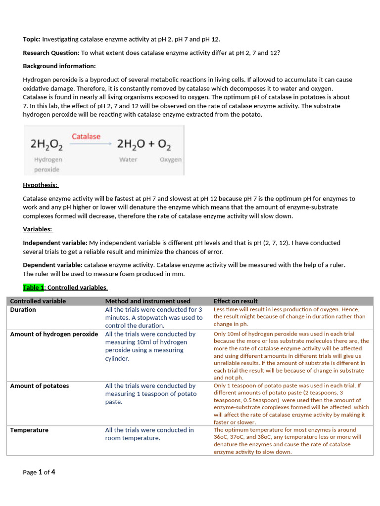 Sample Enzyme Lab. Report | PDF | Catalase | Enzyme Assay