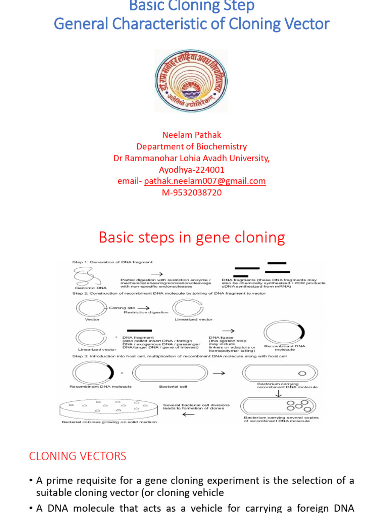 Basics of Cloning Vectors | PDF | Molecular Cloning | Vector (Molecular ...