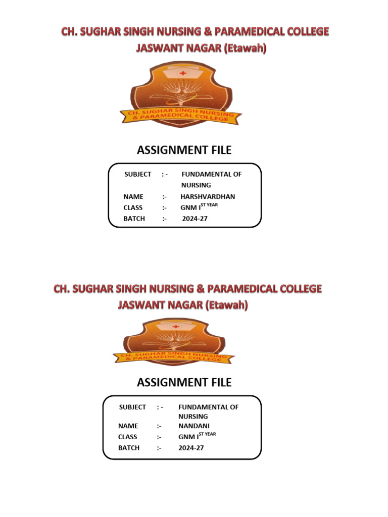 Assignment File | PDF
