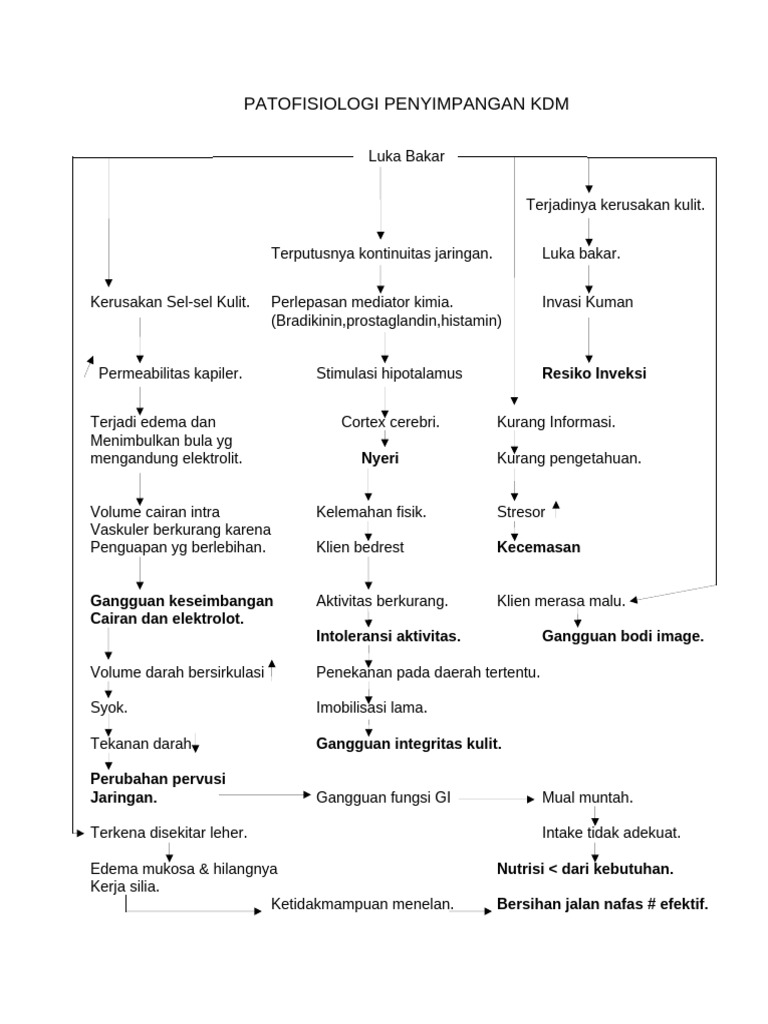 Patofisiologi Penyimpangan KDM | PDF